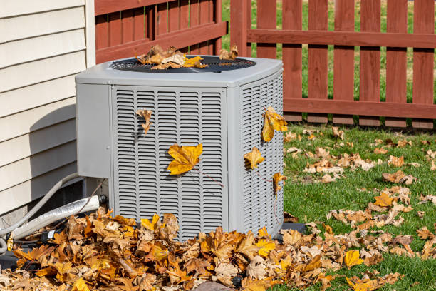 Best Ductless HVAC repair  in Little Falls, MN
