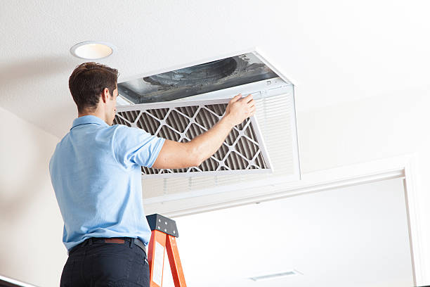 Best HVAC tune-up services  in Little Falls, MN